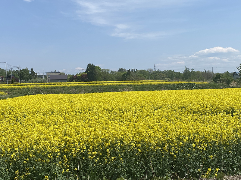 2025年度 北海道版 ガチャピンズラリー達成者