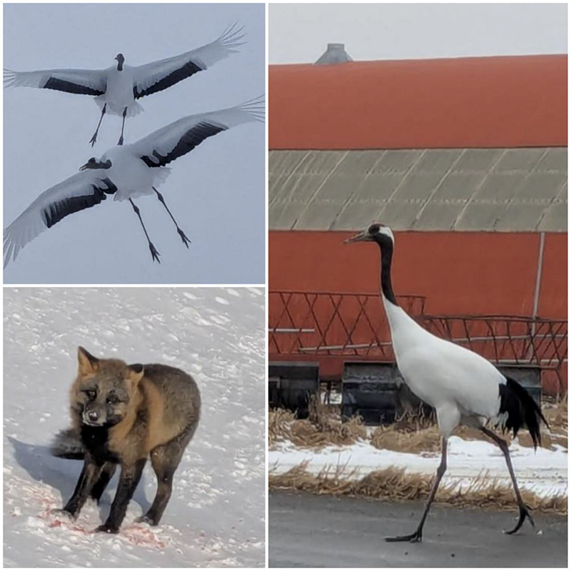 2025年度 北海道版 ガチャピンズラリー達成者