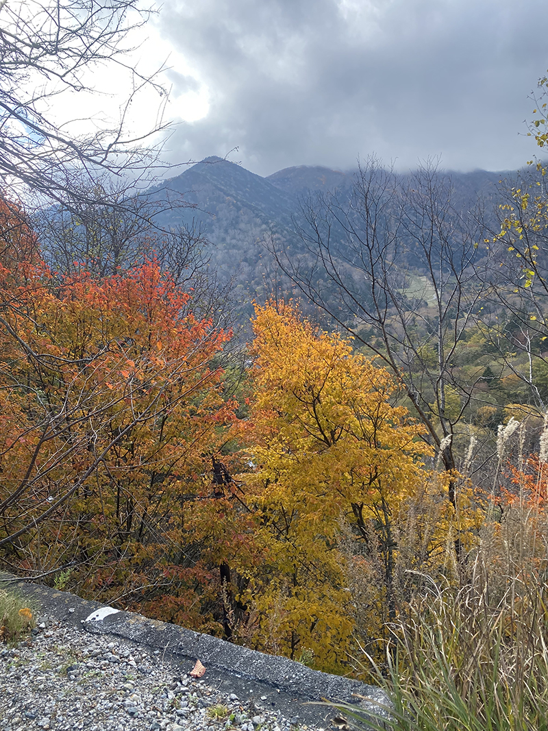 2025年度 茨城版 ガチャピンズラリー達成者