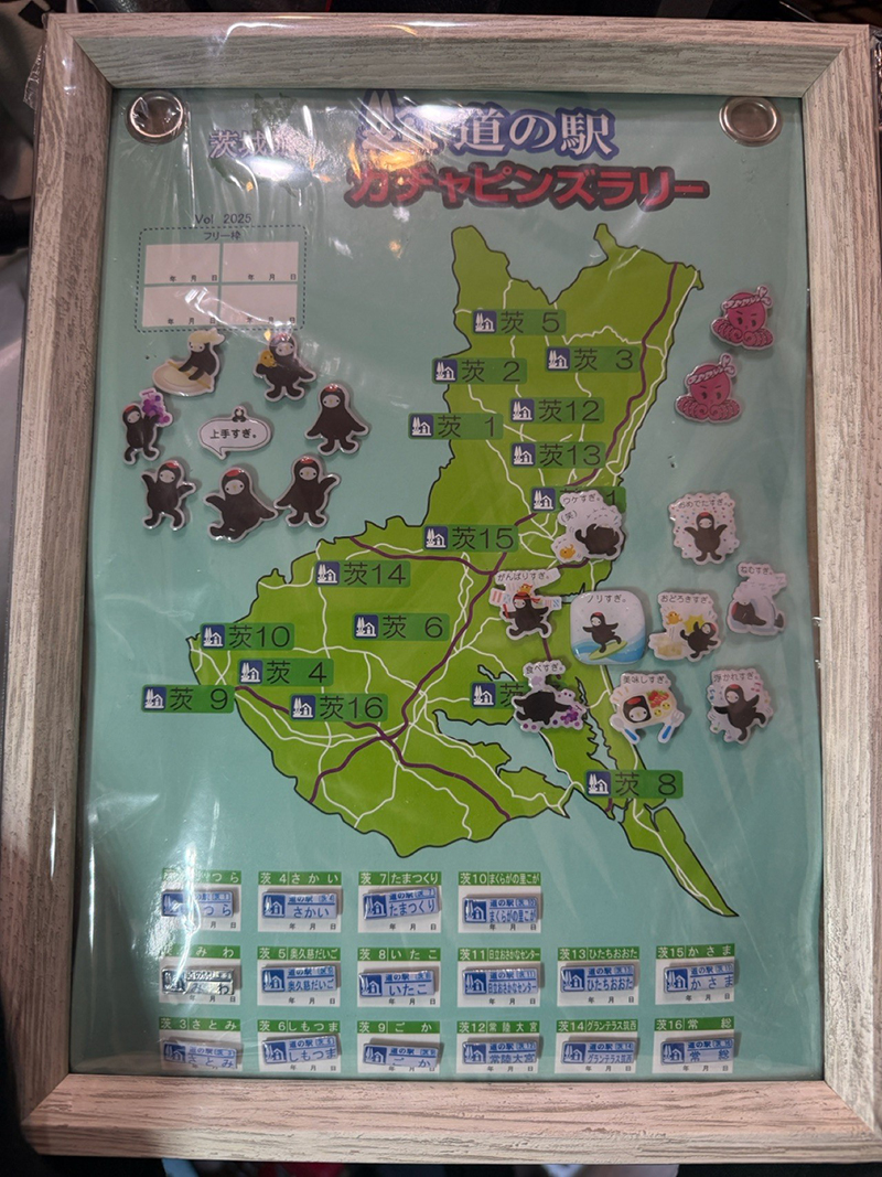 2025年度 茨城版 ガチャピンズラリー達成者