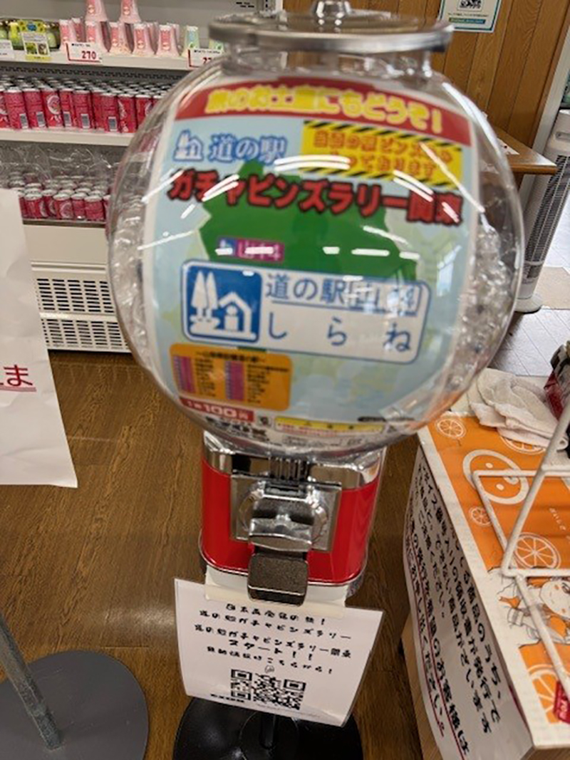 2025年度 関東版 ガチャピンズラリー達成者