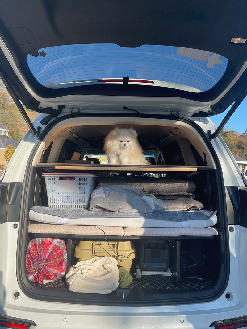 2025年度 関東版 ガチャピンズラリー達成者