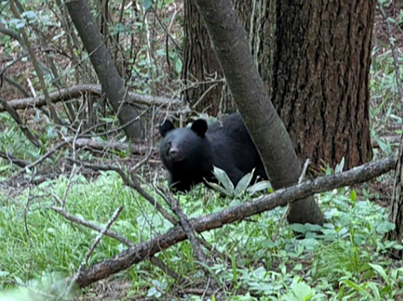 2025年度 関東版 ガチャピンズラリー達成者