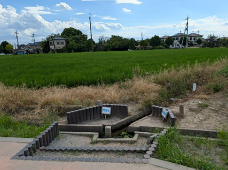 2025年度 関東版 ガチャピンズラリー達成者