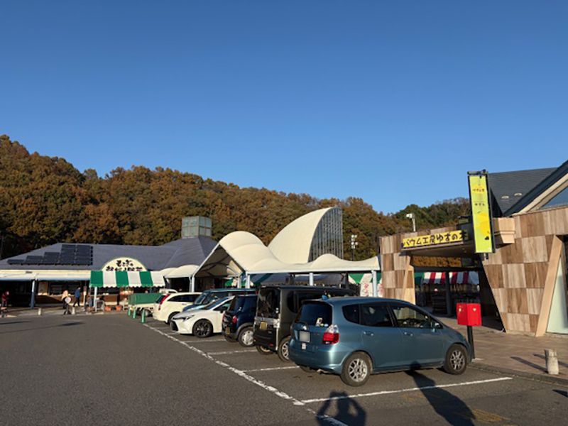 2025年度 栃木版 ガチャピンズラリー達成者