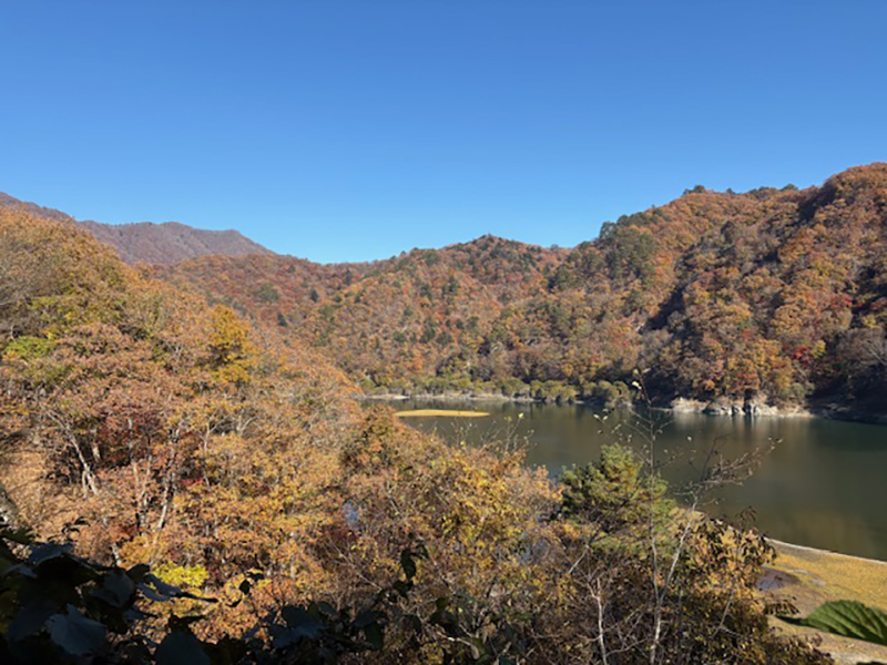 2025年度 栃木版 ガチャピンズラリー達成者