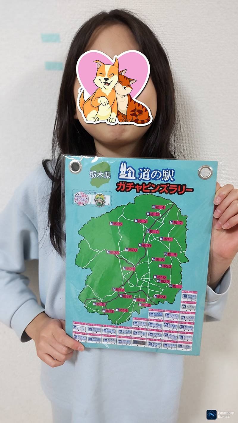 道の駅　栃木県版　ピンズ　コンプリート品 栃木県 道の駅全駅設置記念 道の駅ピンズ シルバーVerが入りました