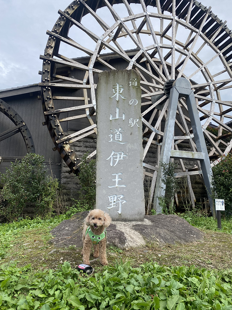 2025年度 栃木版 ガチャピンズラリー達成者